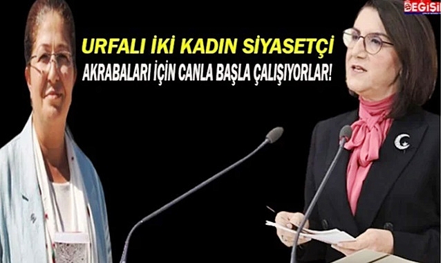 Artık Urfa'da kadın siyasetçilerde torpil yapıyor!