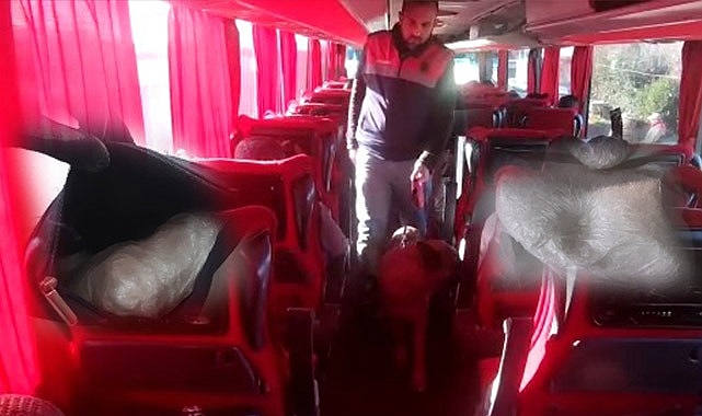 Birecik'te yolcu otobüsünde uyuşturucu çıktı! 1 tutuklama